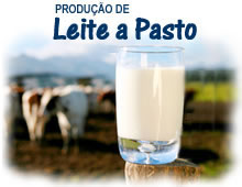 Produ&ccedil;&atilde;o de Leite a Pasto